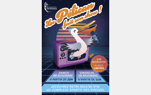 GALA DES PELICANS GYM - 9 et 10 novembre 2024